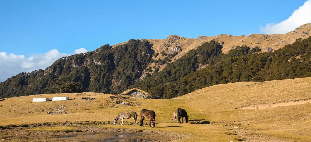 panwali kantha trek